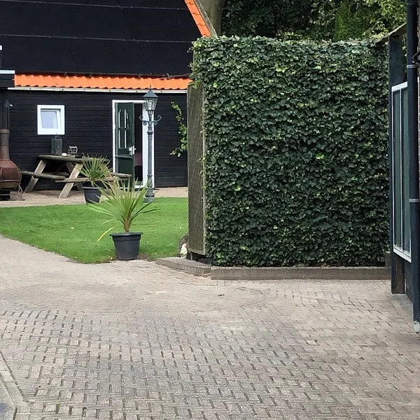 Foto 1