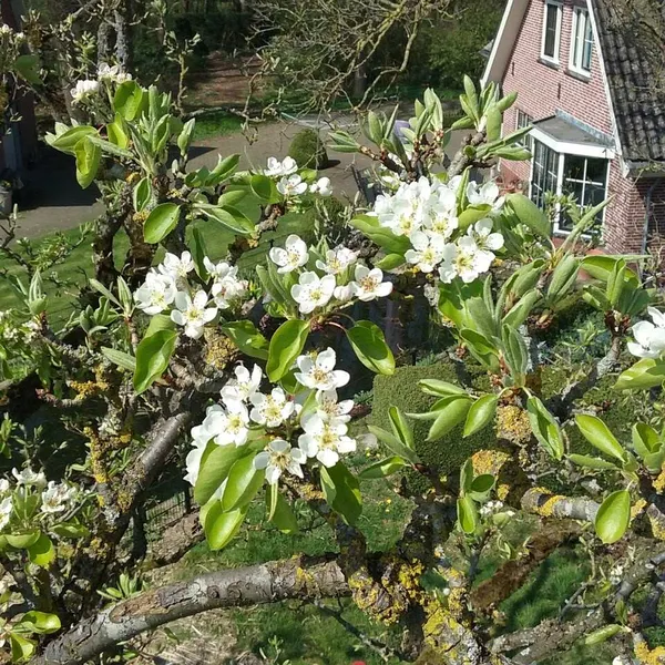 Foto 8