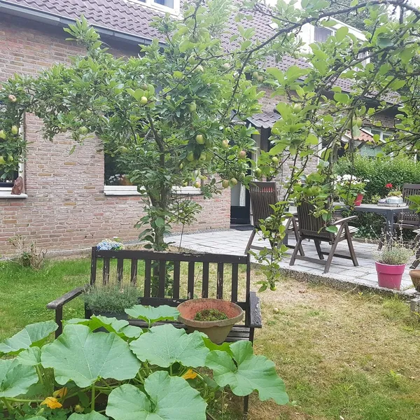 Foto 1