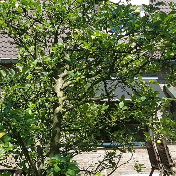 Foto 4