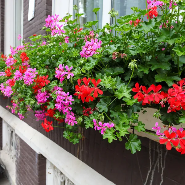 Prinsenhotel Amsterdam