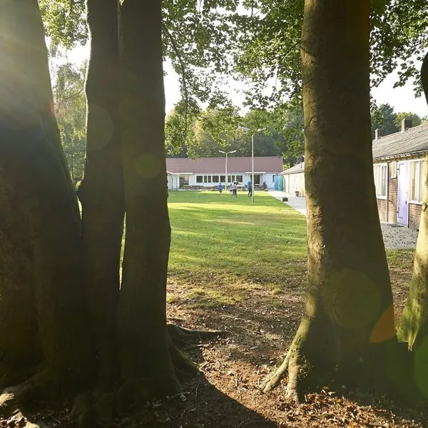Image 6