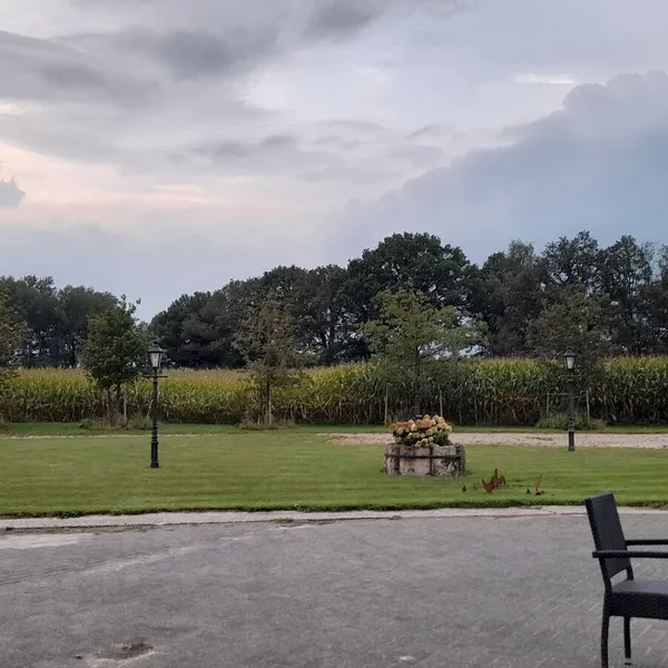 Image 6