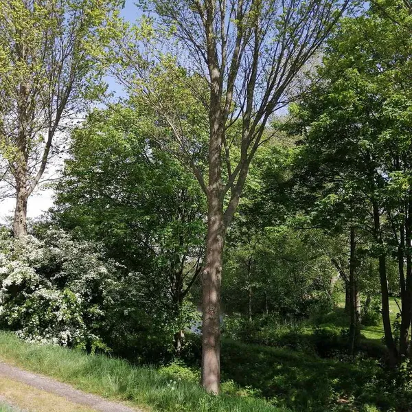 Foto 10