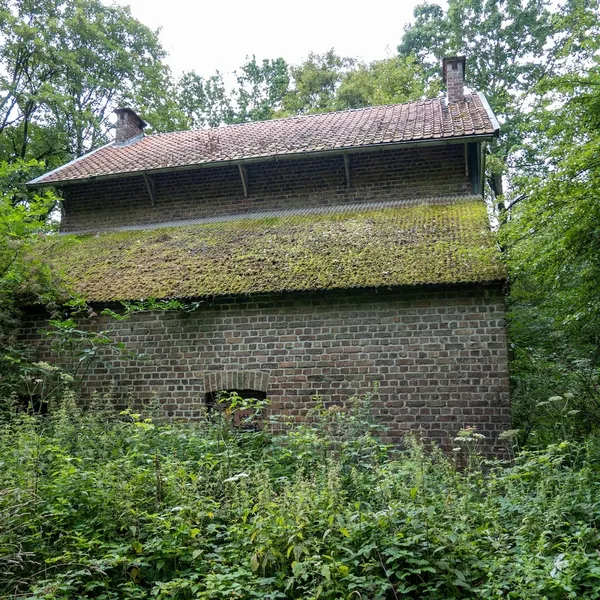 Foto 1