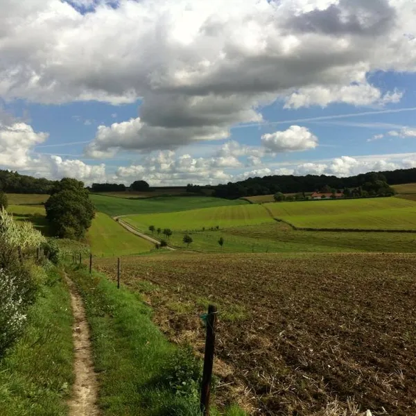 Image 25