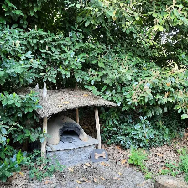 Image 6