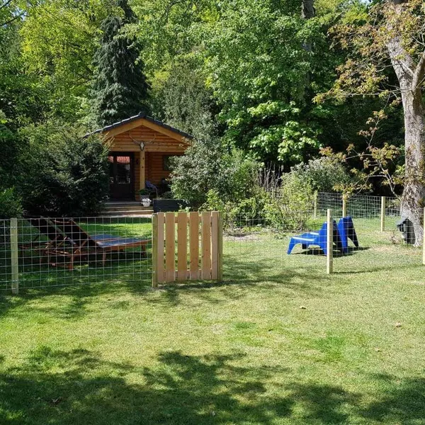 Image 6