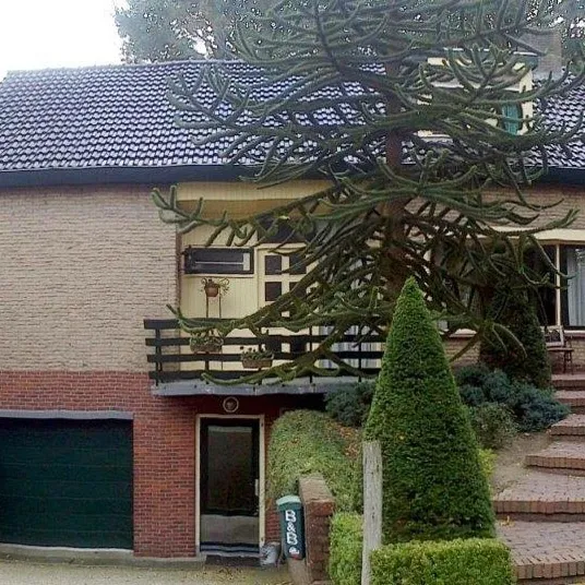 Foto 6