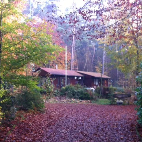 Image 8