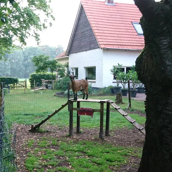 Foto 10