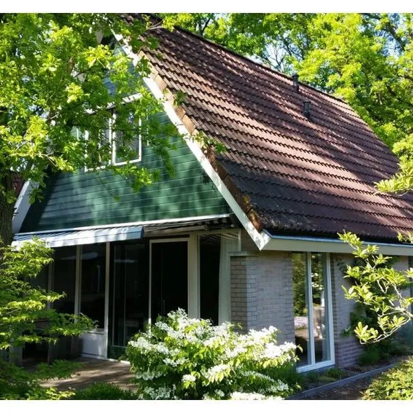Foto 1
