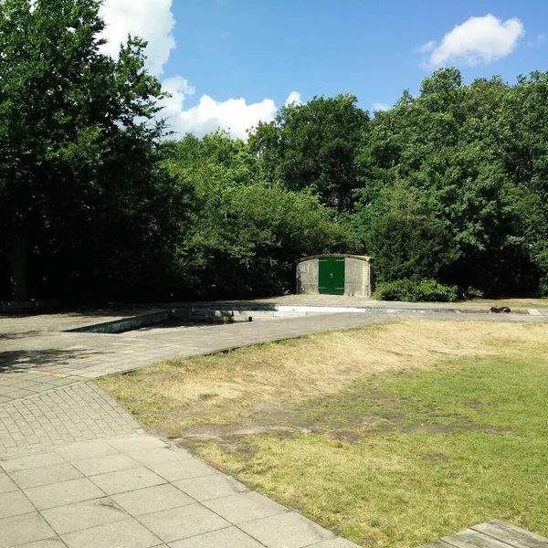 Foto 8
