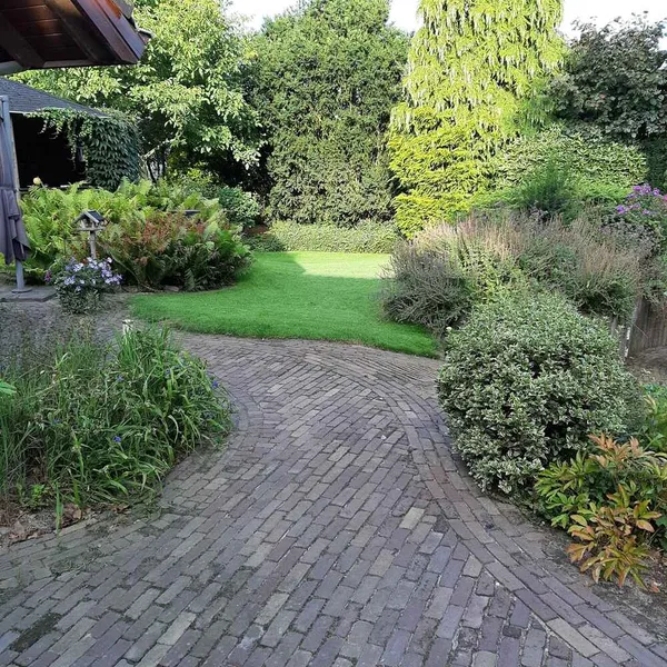 Image 10