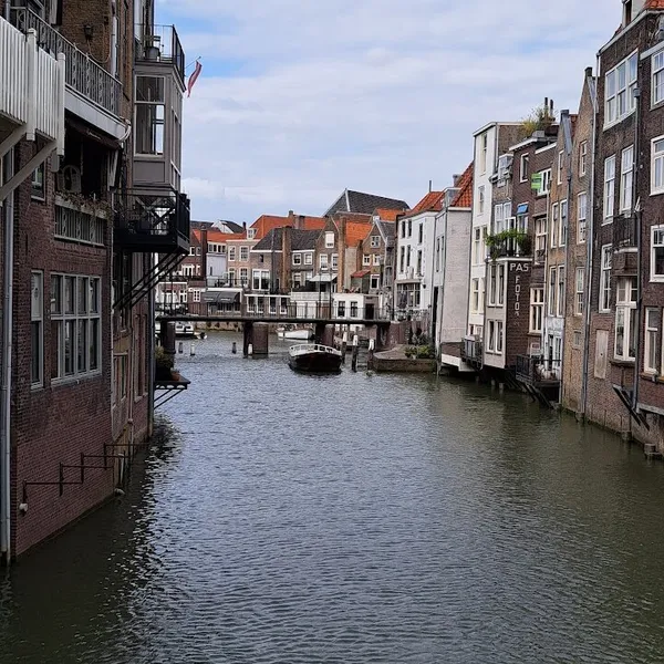 Image 10