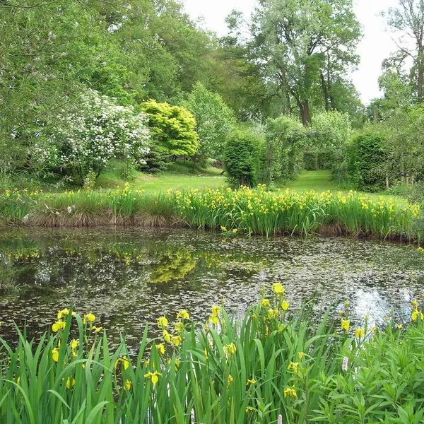 Image 9