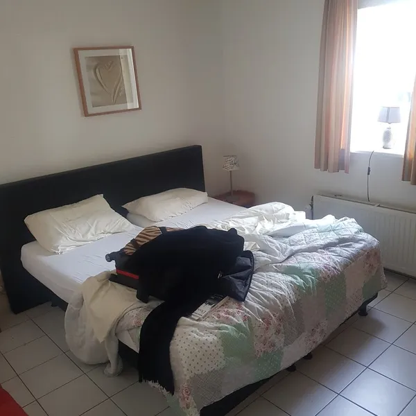 Image 8