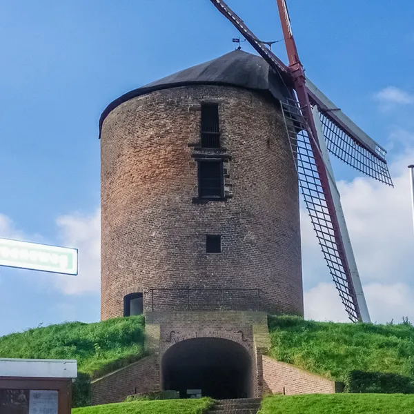 Image 4