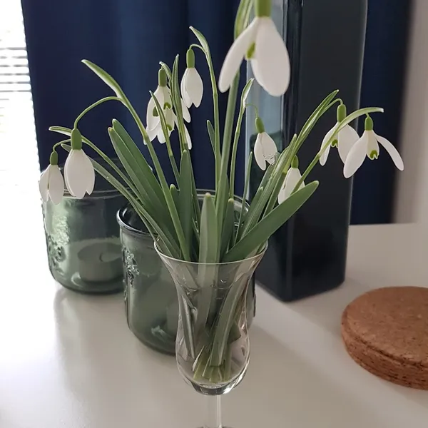 Foto 10
