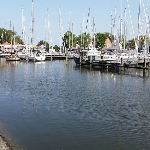 Image 10