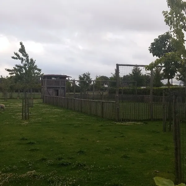 Image 7