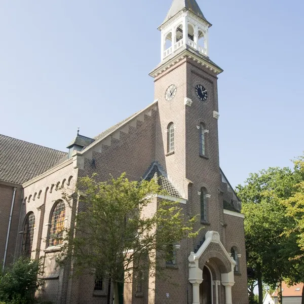 Image 7
