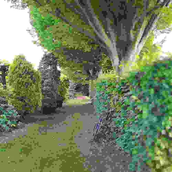 Foto 8