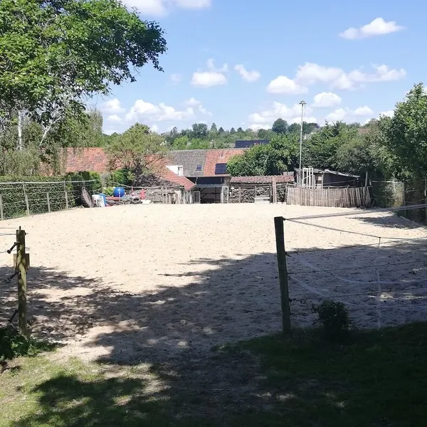Foto 6