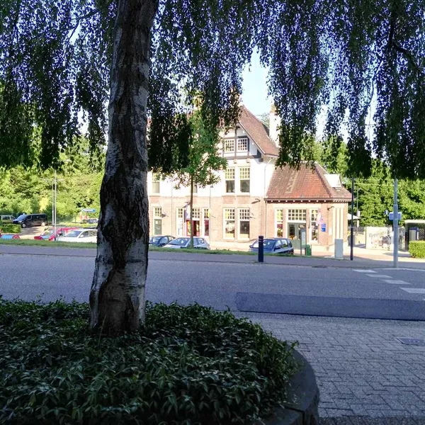 Image 10