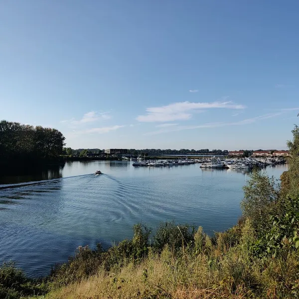 Image 6