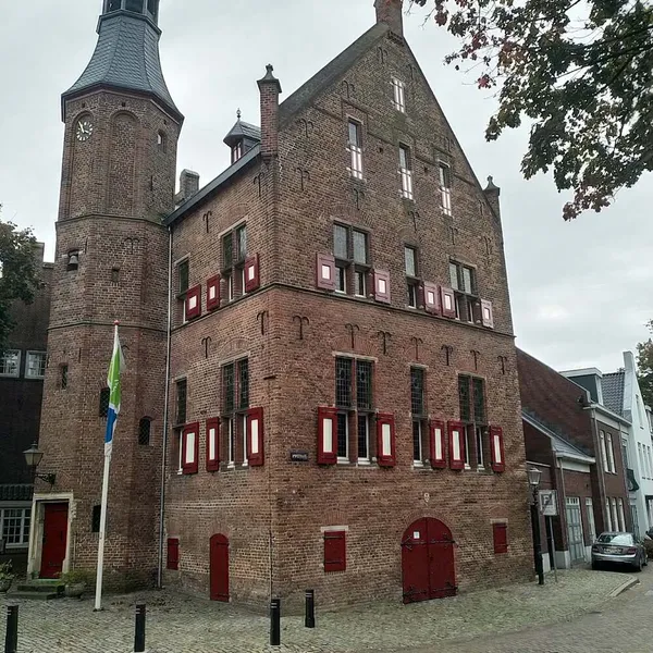 Image 8