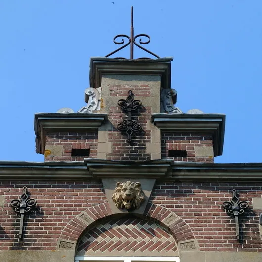 Image 7