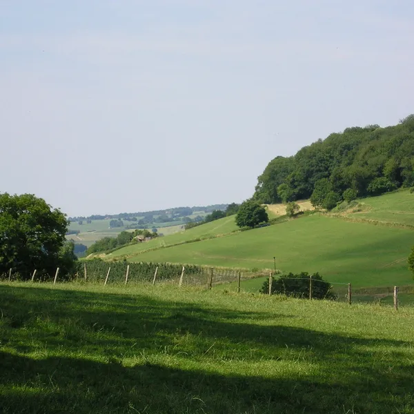 Image 35