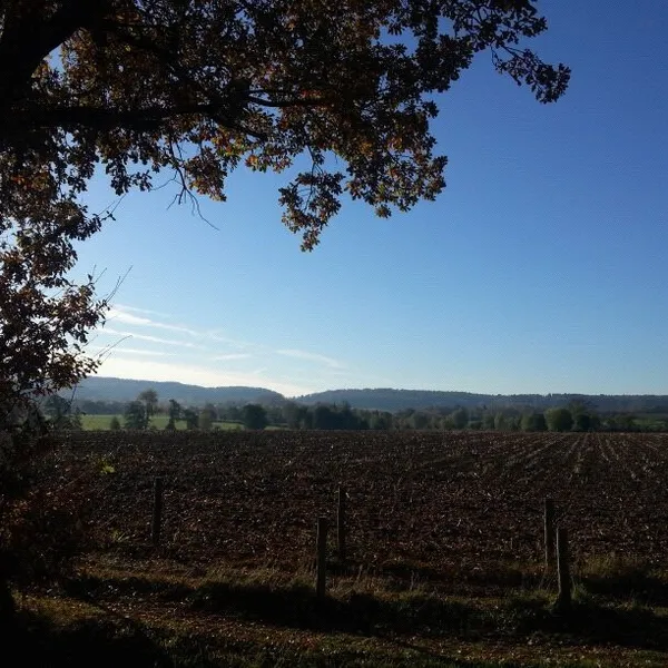 Image 36