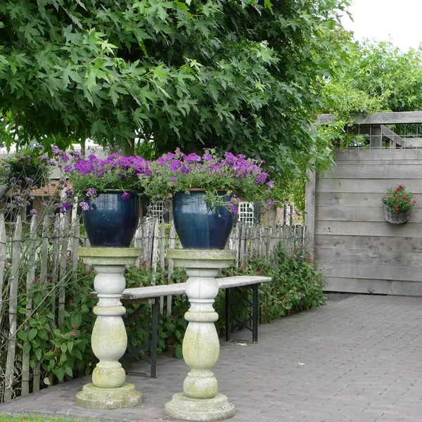 Image 9