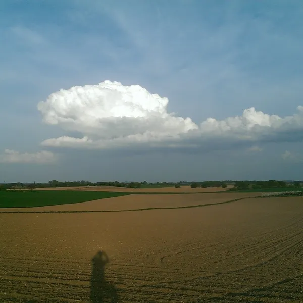 Foto 10