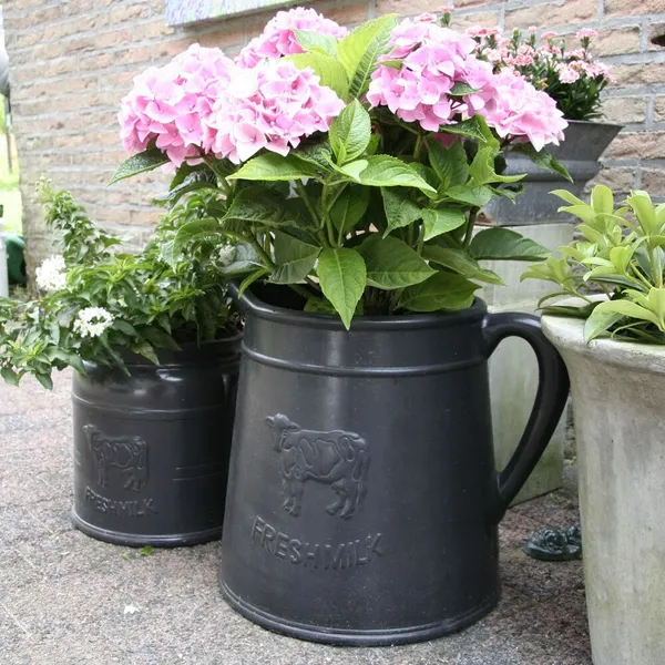 Image 8