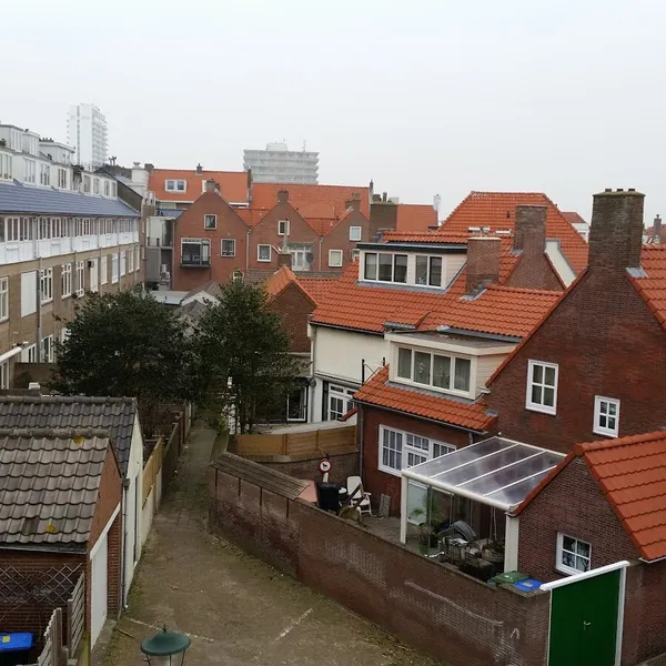 Image 6