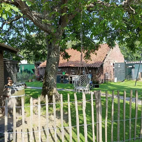 Image 10