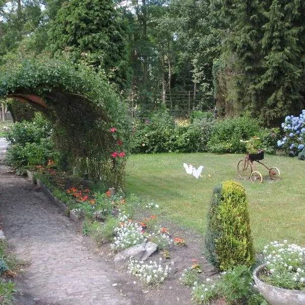 Foto 7