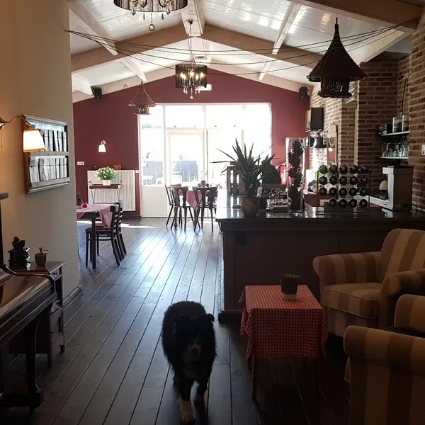 Image 6