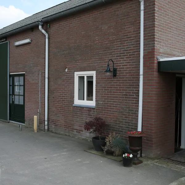 Image 9