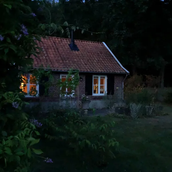 Foto 10
