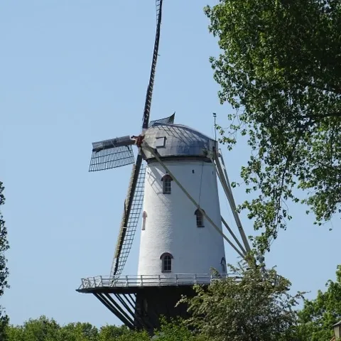 Foto 4