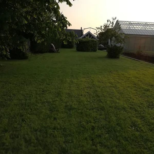 Image 9