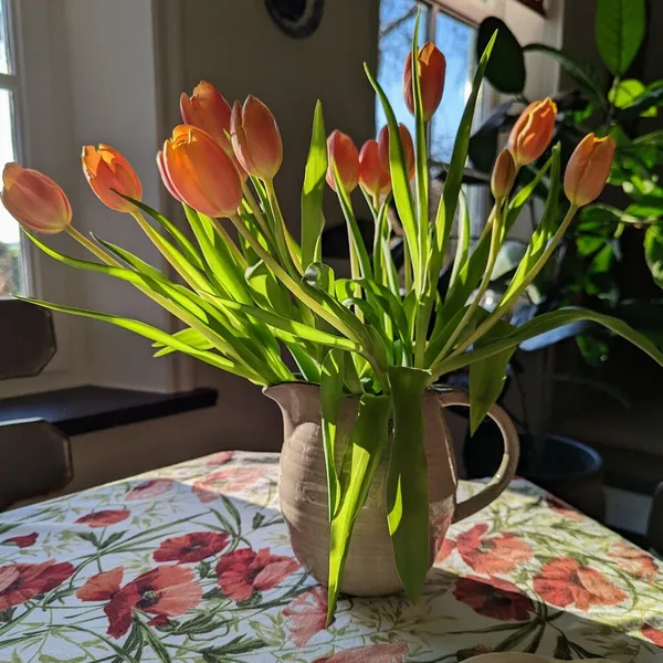 Foto 4