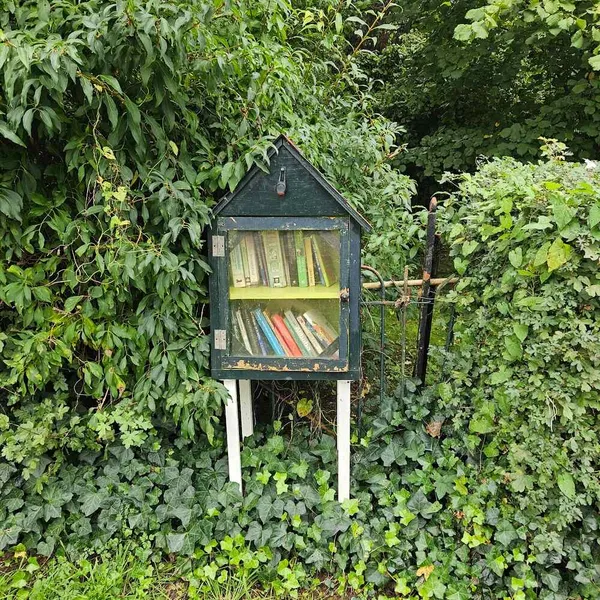 Image 2