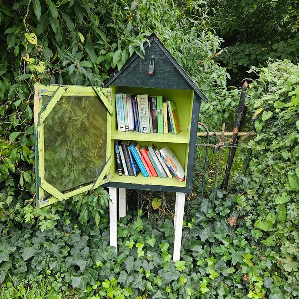 Image 6