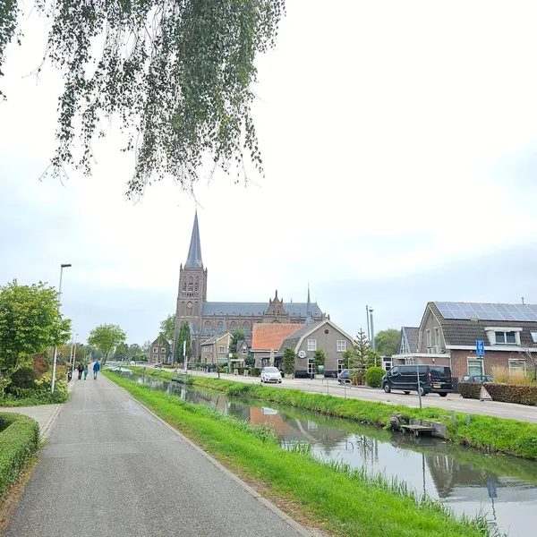 Image 8