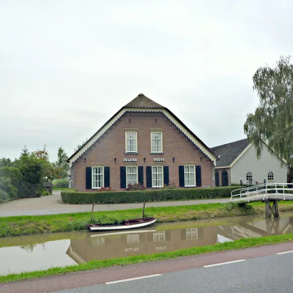 Image 10